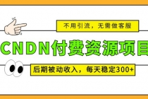 CNDN付费资源项目，不用引流，无需做客服，后期被动收入，每天稳定300+ - 冒泡网-冒泡网