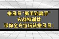 拼多多“新手到高手”实战特训营：带你全方位玩转拼多多！ - 冒泡网-冒泡网