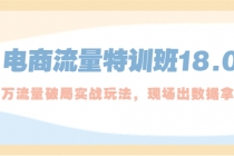 电商流量特训班18.0，直引万流量破局实操玩法，现场出数据拿结果 - 冒泡网-冒泡网