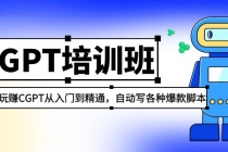 2023最新CGPT培训班：玩赚CGPT从入门到精通 自动写各种爆款脚本(3月23更新) - 冒泡网-冒泡网