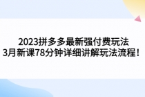 2023拼多多最新强付费玩法，3月新课​78分钟详细讲解玩法流程！ - 冒泡网-冒泡网