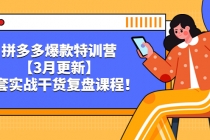 拼多多爆款特训营【3月更新】，全套实战干货​复盘课程！ - 冒泡网-冒泡网