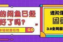 火爆全网的咸鱼玩法进阶课程，单号日入1K的咸鱼进阶课程 - 冒泡网-冒泡网