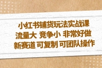 小红书铺货玩法实战课，流量大 竞争小 非常好做 新赛道 可复制 可团队操作 - 冒泡网-冒泡网