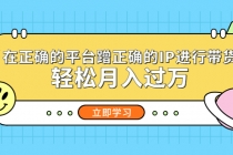 在正确的平台蹭正确的IP进行带货，轻松月入过万 - 冒泡网-冒泡网