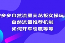 拼多多自然流量天花板实操玩法：自然流量推荐机制，如何开车引流等等 - 冒泡网-冒泡网