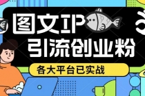 价值1688的ks dy 小红书图文ip引流实操课，日引50-100！各大平台已经实战 - 冒泡网-冒泡网