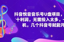 抖音音乐号U盘项目 一单几十利润 无需投入太多 一台手机 几个抖音号就开始 - 冒泡网-冒泡网