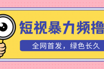 外面收费1680的短视频暴力撸金，日入300+长期可做，赠自动收款平台 - 冒泡网-冒泡网