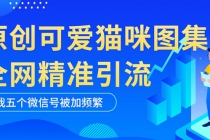 黑科技纯原创可爱猫咪图片，全网精准引流，实操5个VX号被加频繁 - 冒泡网-冒泡网