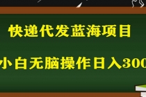 2023最新蓝海快递代发项目，小白零成本照抄也能日入300+ - 冒泡网-冒泡网