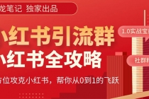 【白龙笔记】价值980元的《小红书运营和引流课》，日引100高质量粉 - 冒泡网-冒泡网