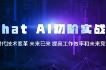 Chat AI初阶实战课，AI时代技术变革 未来已来 提高工作效率和未来竞争力 - 冒泡网-冒泡网