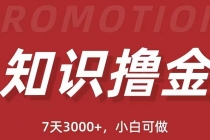 抖音知识撸金项目：简单粗暴日入1000+执行力强当天见收益(教程+资料) - 冒泡网-冒泡网