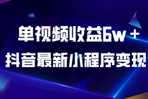 抖音最新小程序变现项目，单视频收益6w＋ - 冒泡网-冒泡网