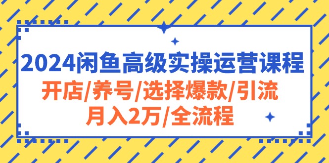 2024闲鱼高级实操运营课程：开店/养号/选择爆款/引流/月入2万/全流程 - 冒泡网-冒泡网