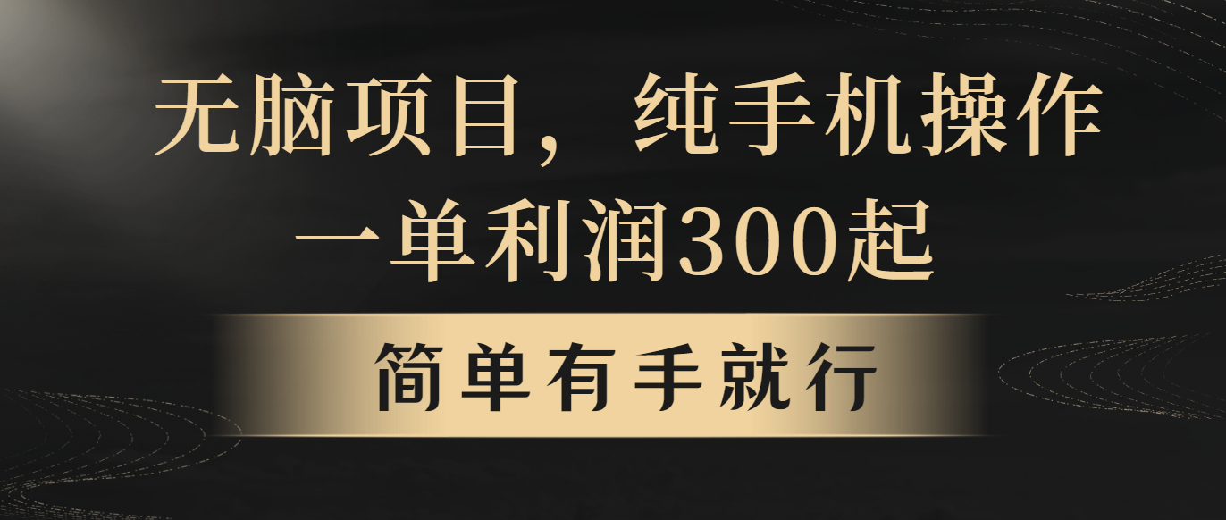 无脑项目，一单几百块，轻松月入5w+，看完就能直接操作 - 冒泡网-冒泡网