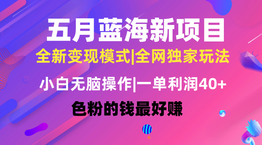 五月蓝海项目全新玩法，小白无脑操作，一天几分钟，矩阵操作，月入4万+ - 冒泡网-冒泡网