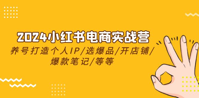 2024小红书电商实战营，养号打造IP/选爆品/开店铺/爆款笔记/等等 - 冒泡网-冒泡网