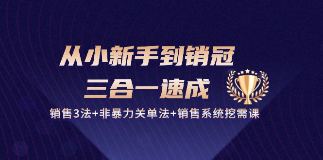 从小新手到销冠 三合一速成：销售3法+非暴力关单法+销售系统挖需课 (27节) - 冒泡网-冒泡网