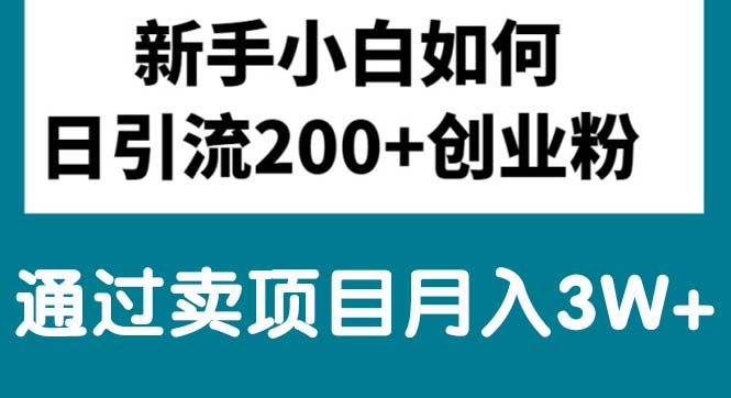 新手小白日引流200+创业粉,通过卖项目月入3W+ - 冒泡网-冒泡网