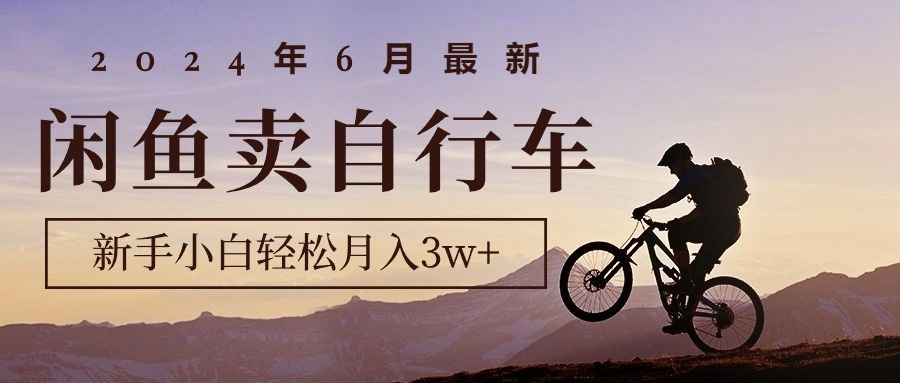 2024年6月最新闲鱼卖自行车，新手小白轻松月入3w+项目 - 冒泡网-冒泡网