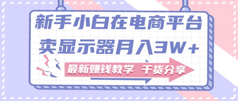 新手小白如何做到在电商平台卖显示器月入3W+，最新赚钱教学干货分享 - 冒泡网-冒泡网