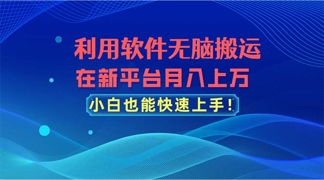 利用软件无脑搬运，在新平台月入上万，小白也能快速上手 - 冒泡网-冒泡网