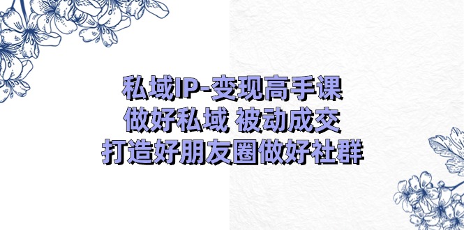 私域IP-变现高手课：做好私域 被动成交，打造好朋友圈做好社群 - 冒泡网-冒泡网