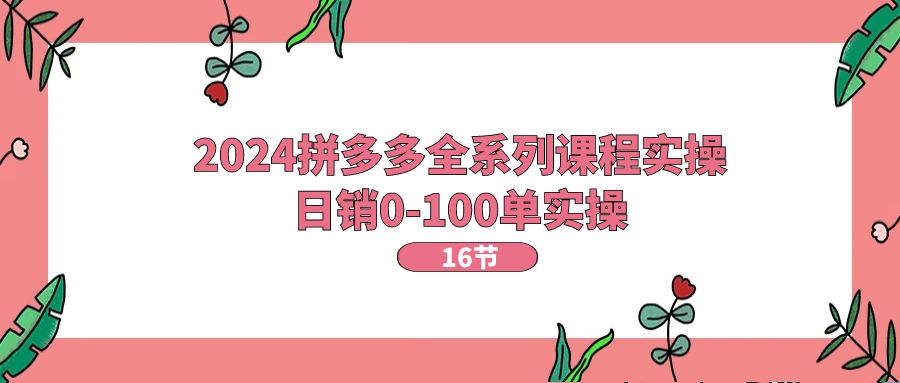 2024拼多多全系列课程实操，日销0-100单实操【16节课】 - 冒泡网-冒泡网