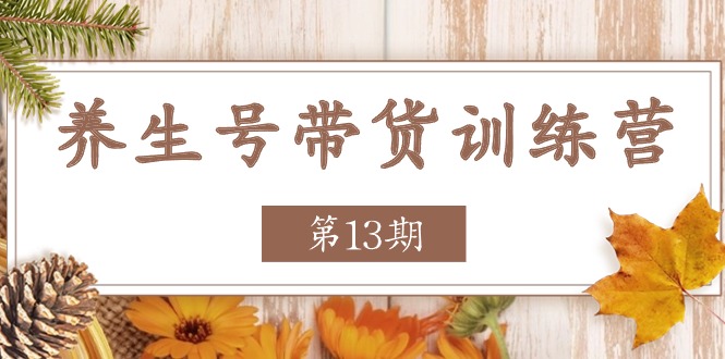 养生号-带货训练营【第13期】收益更稳定的玩法，让你带货收益爆炸 - 冒泡网-冒泡网