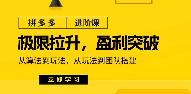 拼多多·进阶课：极限拉升/盈利突破：从算法到玩法 从玩法到团队搭建-18节 - 冒泡网-冒泡网