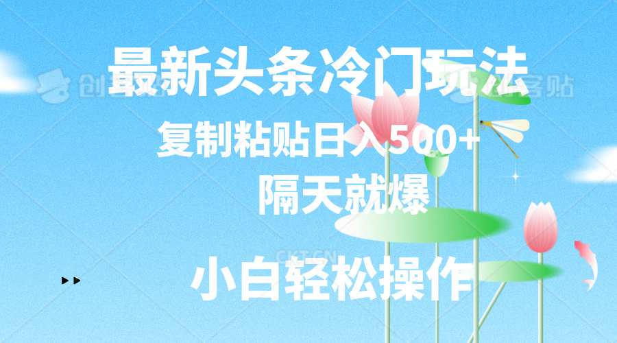 最新头条冷门玩法，隔天就爆，复制粘贴日入500+ - 冒泡网-冒泡网