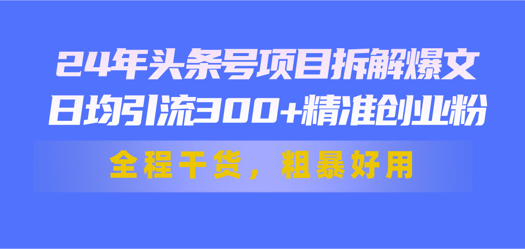 24年头条号项目拆解爆文，日均引流300+精准创业粉，全程干货，粗暴好用 - 冒泡网-冒泡网