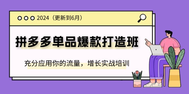 2024拼多多-单品爆款打造班(更新6月)，充分应用你的流量，增长实战培训 - 冒泡网-冒泡网