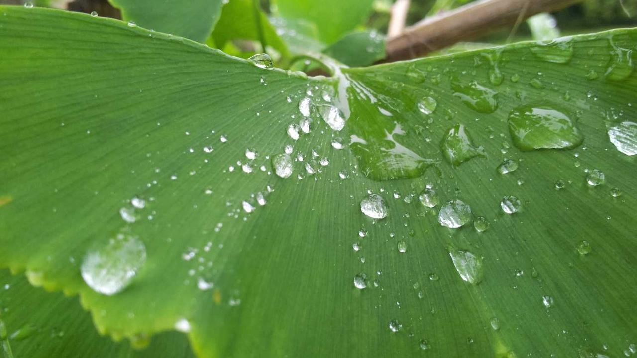 揭秘冒泡网赚的多元化策略与市场潜力分析 - 冒泡网-冒泡网