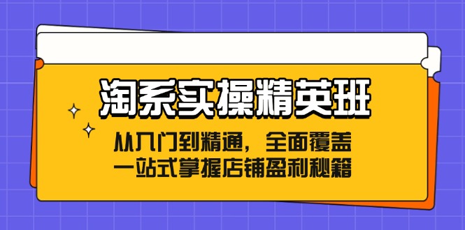 淘系实操精英班：从入门到精通，全面覆盖，一站式掌握店铺盈利秘籍 - 冒泡网-冒泡网