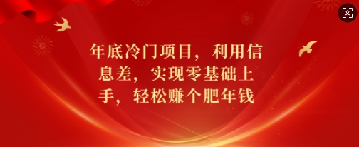 年底冷门项目，利用信息差，实现零基础上手，轻松赚个肥年钱【揭秘】-冒泡网