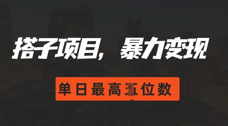 2024搭子玩法，0门槛，暴力变现，单日最高破四位数【揭秘】 - 冒泡网-冒泡网