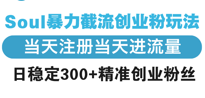 Soul暴力截流创业粉玩法，当天注册当天进流量，日稳定300+精准创业粉丝-冒泡网