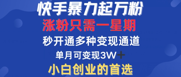 快手暴力起万粉，涨粉只需一星期，多种变现模式，直接秒开万合，单月变现过W【揭秘】 - 冒泡网-冒泡网