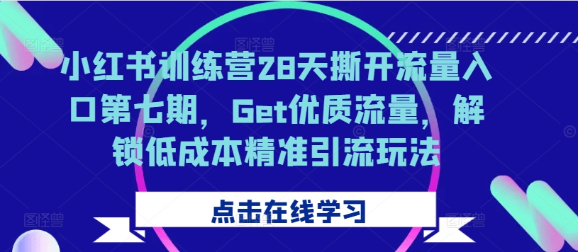 小红书训练营28天撕开流量入口第七期，Get优质流量，解锁低成本精准引流玩法 - 冒泡网-冒泡网