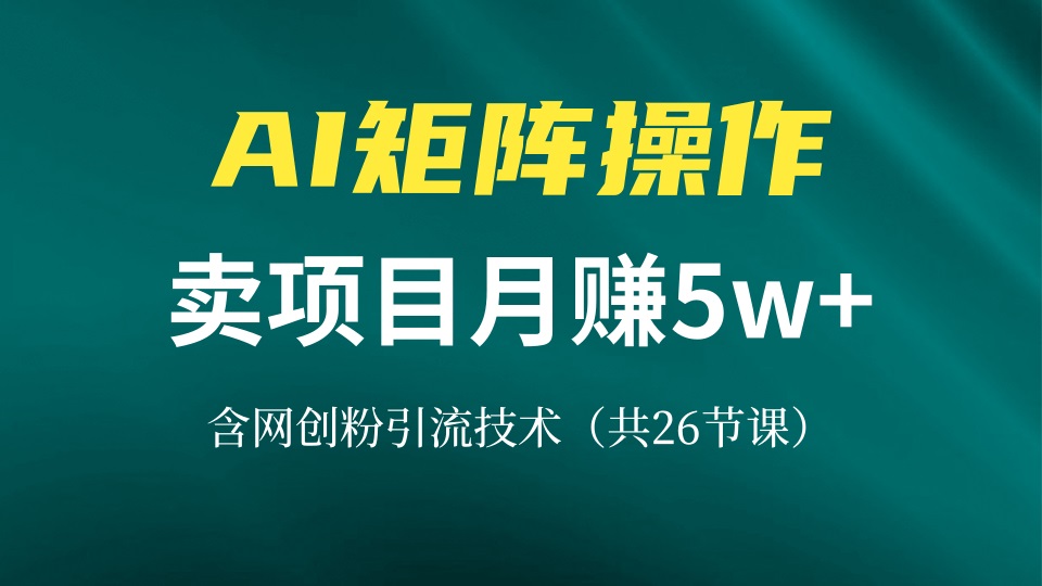 网创IP打造课，借助AI卖项目月赚5万+，含引流技术(共26节课 - 冒泡网-冒泡网