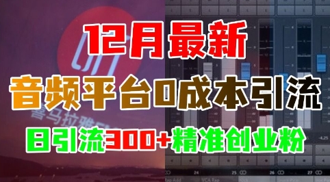 12月最新：音频平台0成本引流，日引流300+精准创业粉 - 冒泡网-冒泡网