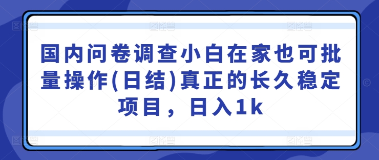 国内问卷调查小白在家也可批量操作(日结)真正的长久稳定项目，日入1k【揭秘】 - 冒泡网-冒泡网