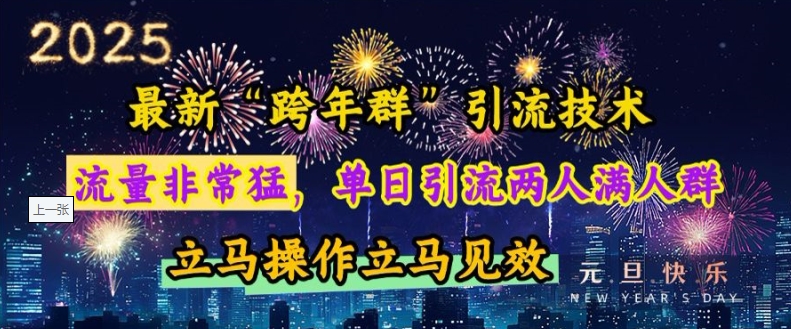 最新“跨年群”引流，流量非常猛，单日引流两人满人群，立马操作立马见效【揭秘】-冒泡网