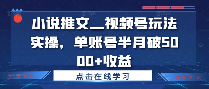 小说推文—视频号玩法实操，单账号半月破5000+收益 - 冒泡网-冒泡网