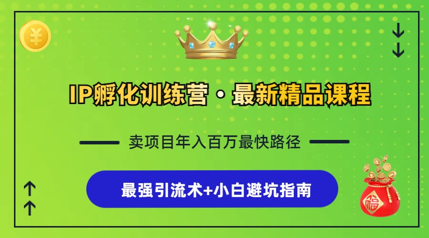 IP孵化训练营，知识付费全流程+最强引流术+小白避坑指南 - 冒泡网-冒泡网