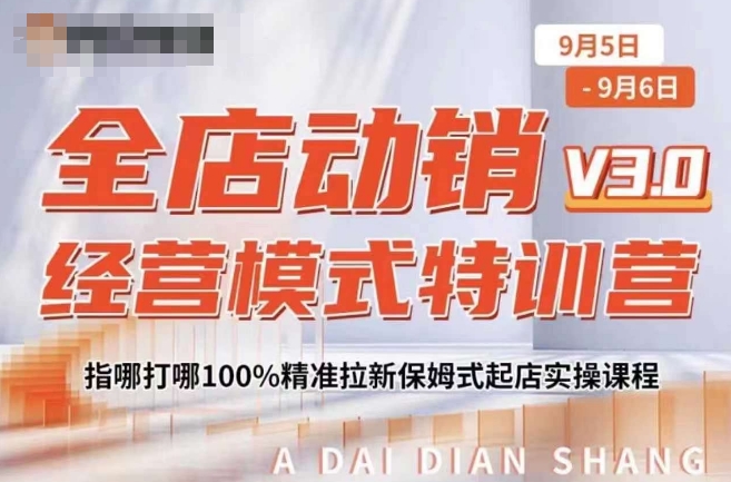 全店动销经营模式特训营，指哪打哪100%精准拉新保姆式起店实操课程 - 冒泡网-冒泡网