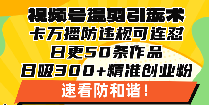 视频号混剪引流技术，500万播放引流17000创业粉，操作简单当天学会 - 冒泡网-冒泡网